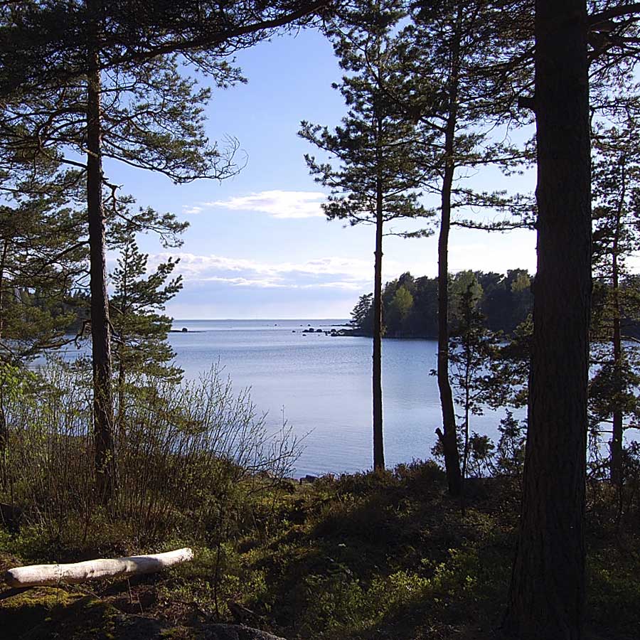 Vuokramökki Stugan, näkymä terrasilta.